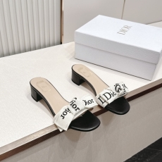 Christian Dior Slippers